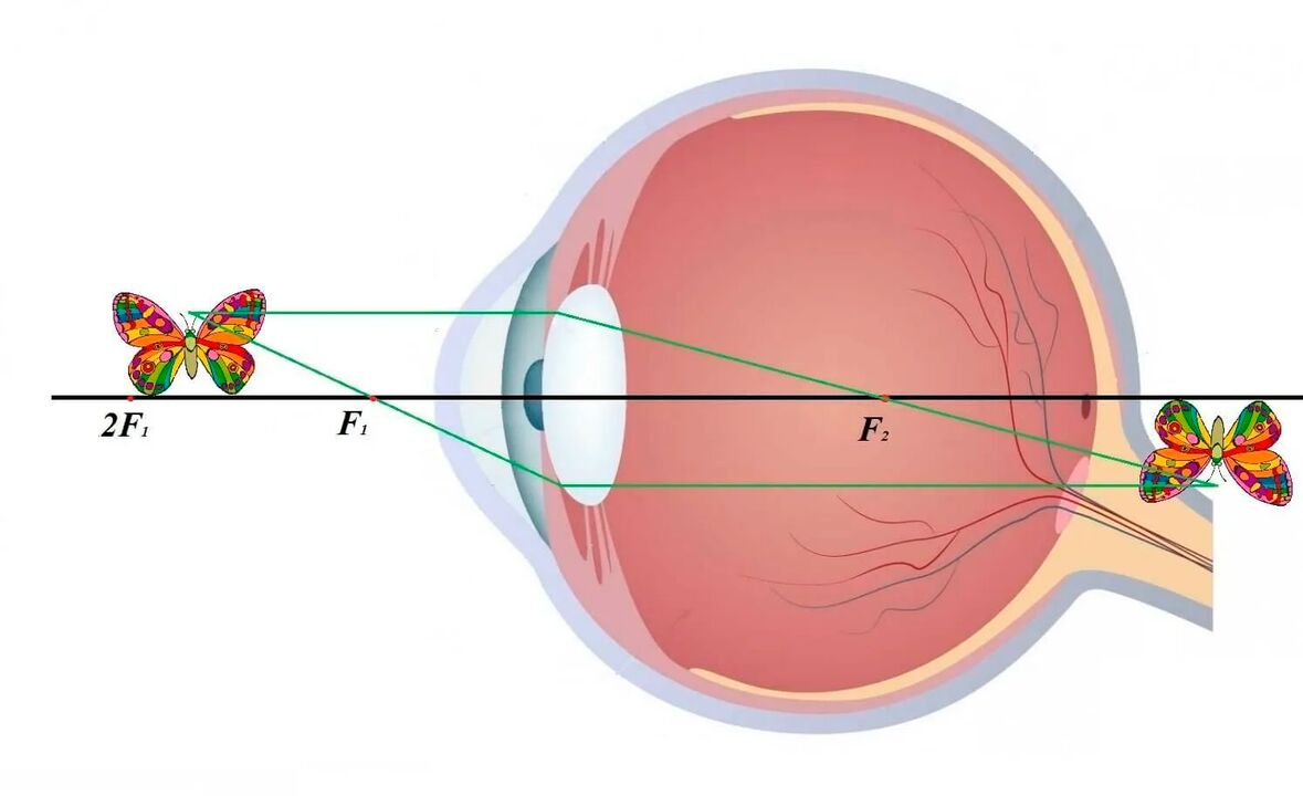 Vizuālās sistēmas diagramma